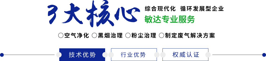 肏死你骚逼视频敏达环保科技（嘉兴）有限公司